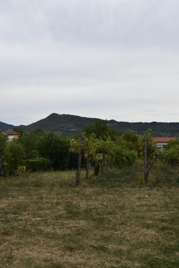 Small House In Vipava Valley Exterior photo